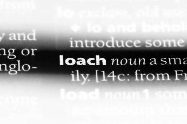 Loach Word'de bir sözlük. Loach kavramı.