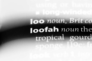 lif kabağı Word'de bir sözlük. lif kabağı kavramı.