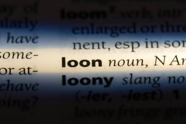Loon Word'de bir sözlük. Loon kavramı.
