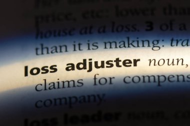 bir sözlüğü'ndeki kaybı ayar sözcüğü. kaybı ayar kavramı.