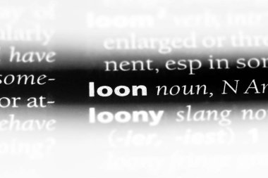 Loon Word'de bir sözlük. Loon kavramı.