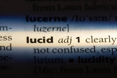 aklı başında tek kelimeyle bir sözlük. berrak kavramı.