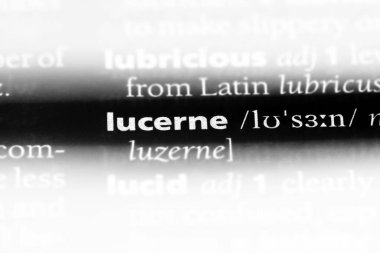 Lucerne Word'de bir sözlük. Lucerne kavramı.