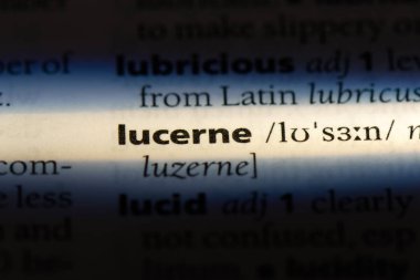 Lucerne Word'de bir sözlük. Lucerne kavramı.
