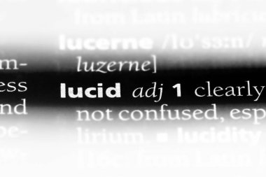 aklı başında tek kelimeyle bir sözlük. berrak kavramı.