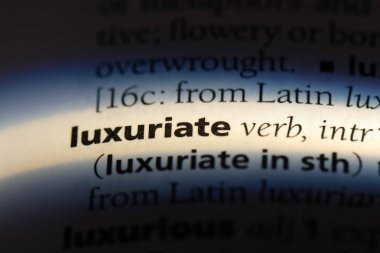 bir sözlüğü'ndeki sözcüğü lüks. Konsept lüks.