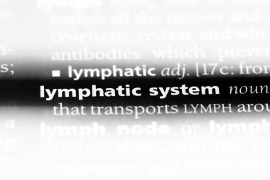 lenfatik sistem Word'de bir sözlük. lenfatik sistem kavramı.