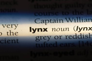 Lynx Word'de bir sözlük. Lynx kavramı.