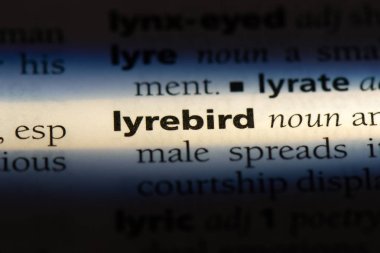 lyrebird sözcük sözlüğe. lyrebird kavramı.