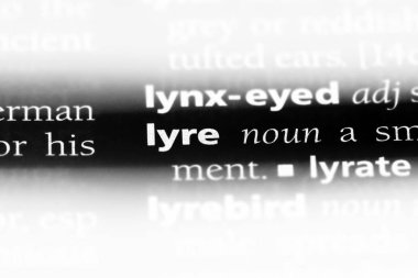 lir Word'de bir sözlük. lir kavramı.