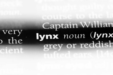 Lynx Word'de bir sözlük. Lynx kavramı.