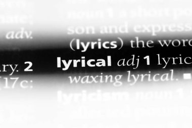 bir sözlüğü'ndeki lirik sözcüğü. lirik kavramı.