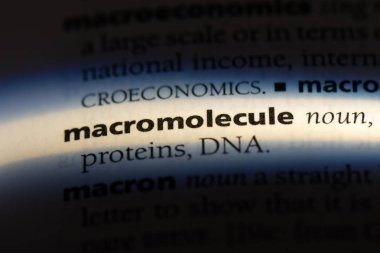 bir sözlüğü'ndeki makromolekül sözcüğü. makromolekül kavramı.