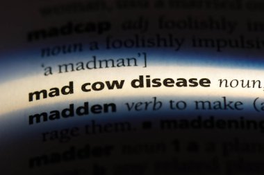 deli dana hastalığı sözcük sözlüğe. deli dana hastalığı kavramı.