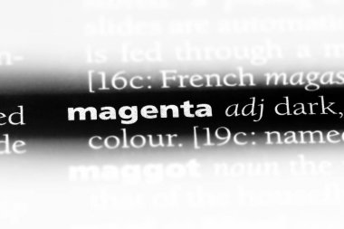 bir sözlüğü'ndeki pembe sözcüğü. pembe kavramı.