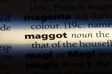 kurtçuk Word'de bir sözlük. kurtçuk kavramı.