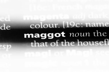 kurtçuk Word'de bir sözlük. kurtçuk kavramı.