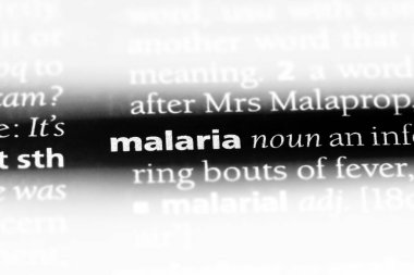 Sıtma Word'de bir sözlük. Sıtma kavramı.