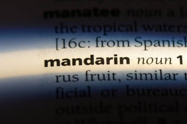 mandalina tek kelimeyle bir sözlük. mandalina kavramı.