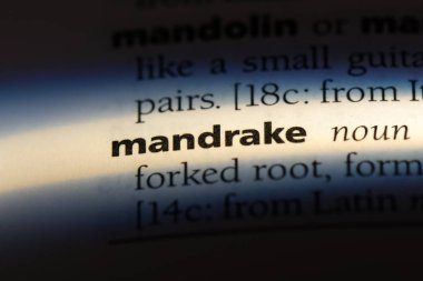 Mandrake Word'de bir sözlük. Mandrake kavramı.