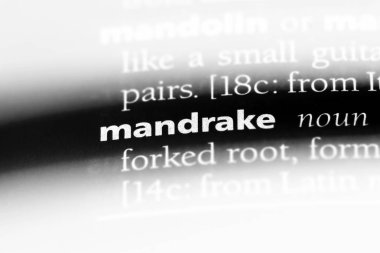 Mandrake Word'de bir sözlük. Mandrake kavramı.