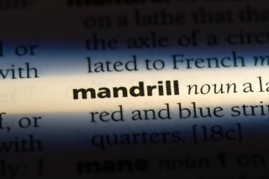 Mandrill'di sözcük sözlüğe. Mandrill'di kavramı.