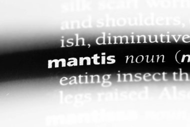 Mantis Word'de bir sözlük. Mantis kavramı.