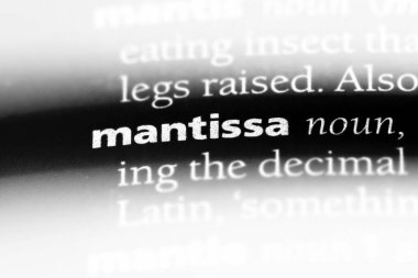 Mantis Word'de bir sözlük. Mantis kavramı.