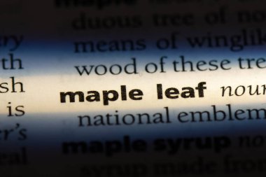 akçaağaç yaprağı sözcük sözlüğe. akçaağaç yaprağı kavramı.