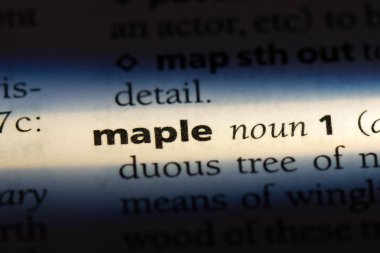 akçaağaç Word'de bir sözlük. akçaağaç kavramı.