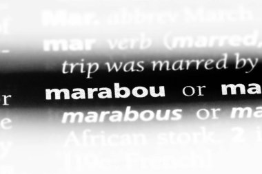 marabut sözcük sözlüğe. marabut kavramı.