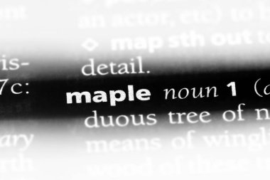 akçaağaç Word'de bir sözlük. akçaağaç kavramı.