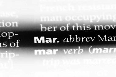 Bir sözlüğü'ndeki sözcüğü mar. Kavram mar.