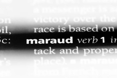 bir sözlüğü'ndeki sözcüğü yağmacılık. kavram yağmacılık.