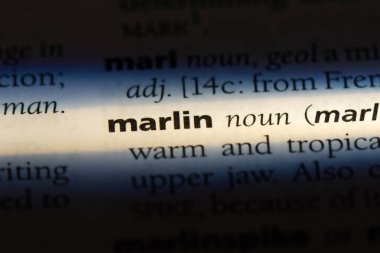 Marlin Word'de bir sözlük. Marlin kavramı.