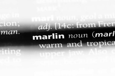 Marlin Word'de bir sözlük. Marlin kavramı.