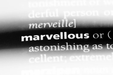 muhteşem tek kelimeyle bir sözlük. muhteşem kavramı.