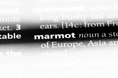 bir sözlüğü'ndeki dağ sıçanı sözcüğü. dağ sıçanı kavramı.