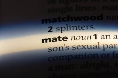 bir sözlüğü'ndeki sözcüğü dostum. dostum kavramı.