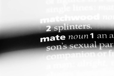 bir sözlüğü'ndeki sözcüğü dostum. dostum kavramı.