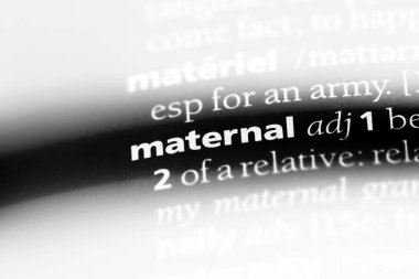 bir sözlüğü'ndeki anne sözcüğü. Anne kavramı.