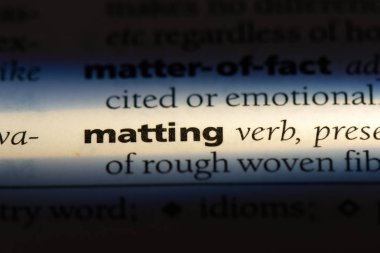 Paspas Word'de bir sözlük. Paspas kavramı.