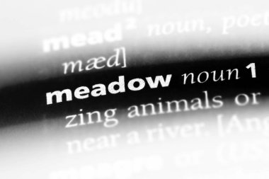 çayır Word'de bir sözlük. çayır kavramı.