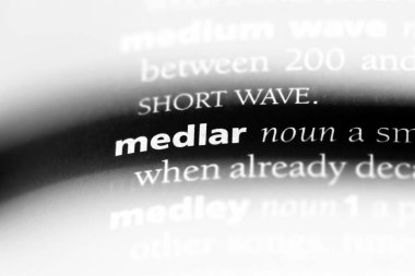 bir sözlüğü'ndeki muşmulası sözcüğü. muşmulası kavramı.