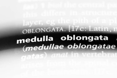 medulla oblongata Word'de bir sözlük. medulla oblongata kavramı.