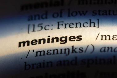 bir sözlüğü'ndeki meninkslerde sözcüğü. meninkslerde kavramı.