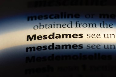 Bayanlar Word'de bir sözlük. Bayanlar kavramı.