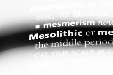 Mezolitik tek kelimeyle bir sözlük. Mezolitik kavramı.