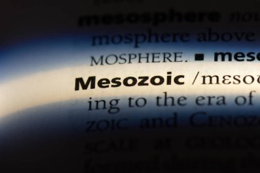 Mezozoik tek kelimeyle bir sözlük. Mezozoik kavramı.