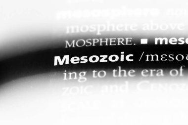 Mezozoik tek kelimeyle bir sözlük. Mezozoik kavramı.